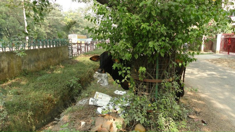 Валера Иванов | Мариуполь