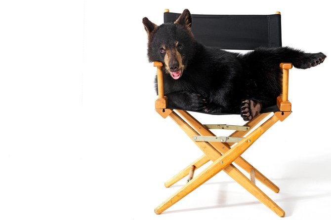 Глеб Мирошниченко | Калининград