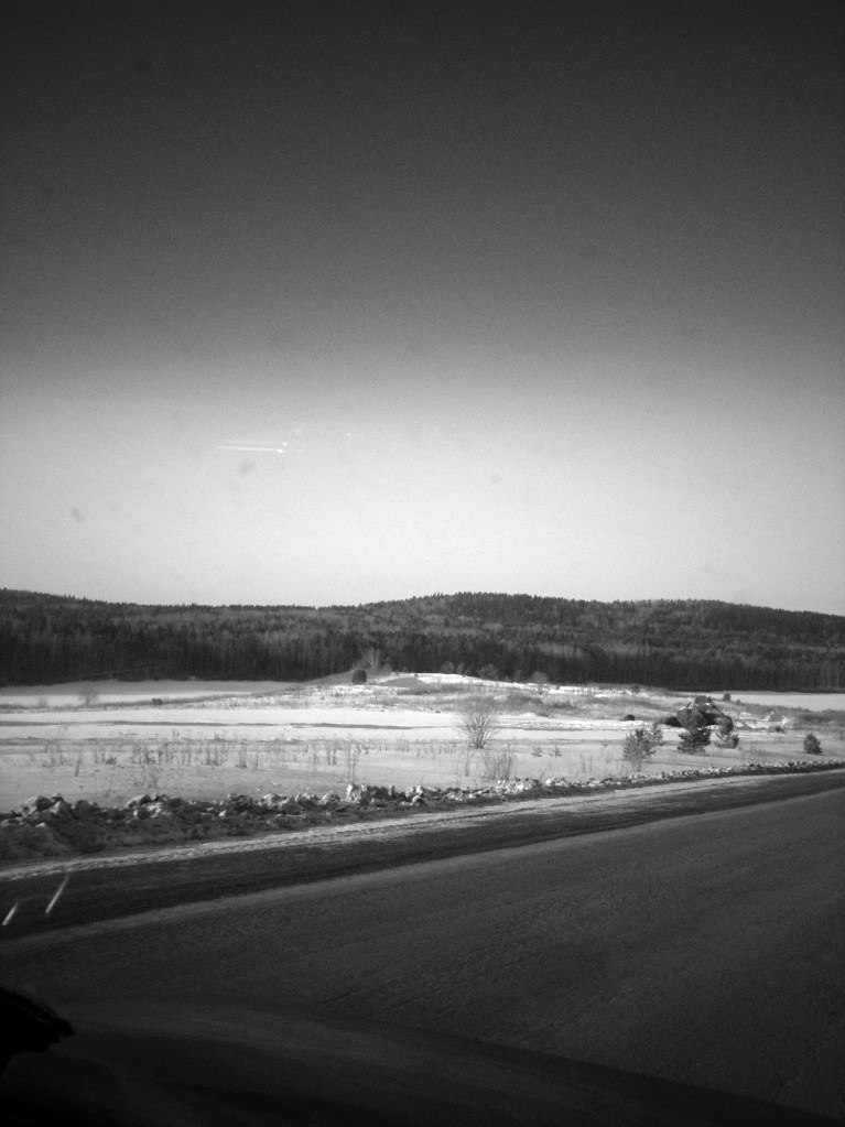 Александр Дементьев Звёздный Кот | Екатеринбург