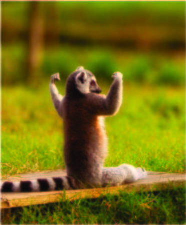 Сергей Ветров Юрьевич | Philadelphia