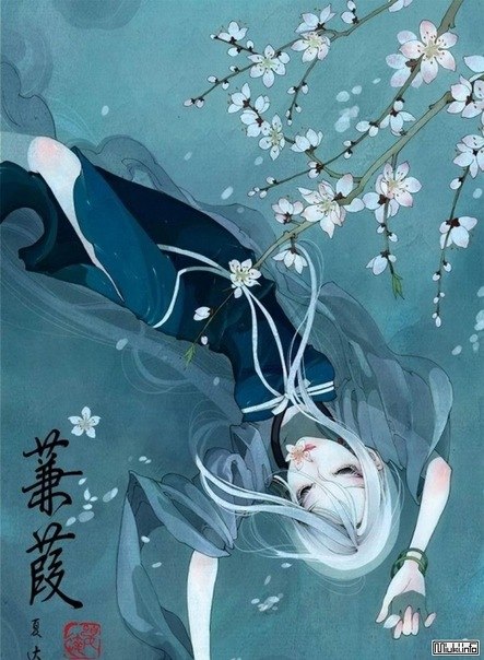 Ехидна Скифова | Ōsaka