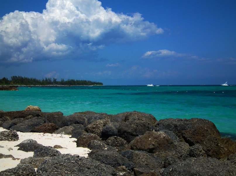 Евгений Митев | Одесса