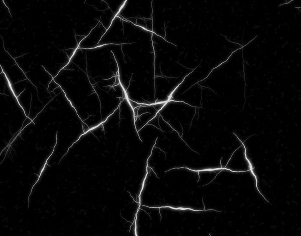 Ваня Пекарский | Санкт-Петербург