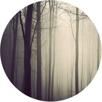 Владимир Хибея | Винница