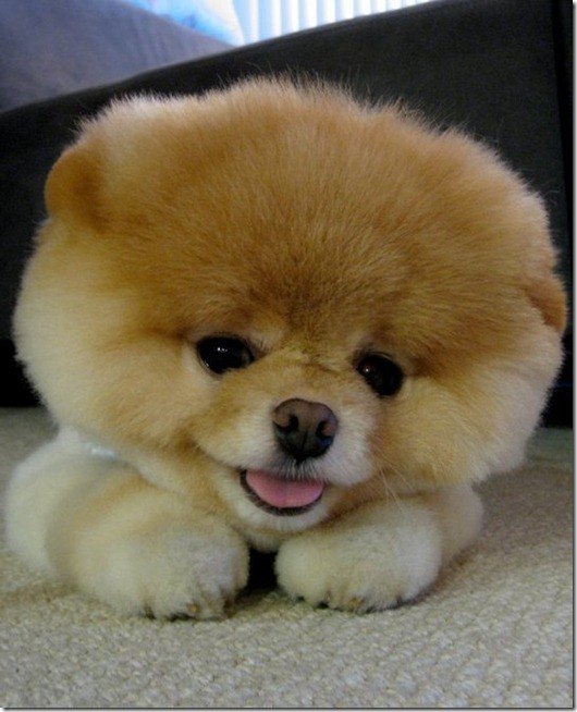 Санан Багиров | Москва