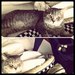 Евгения Белая фотография #19