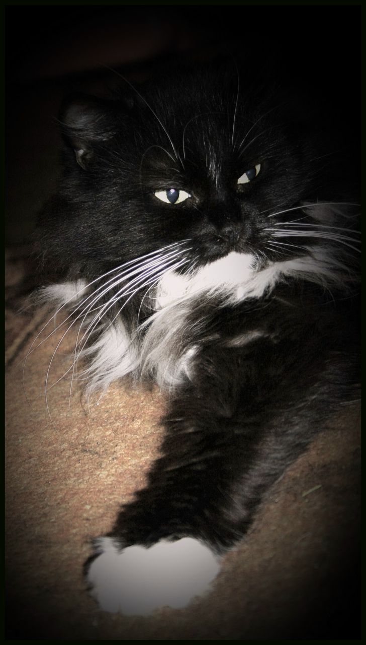 Александра Емельянова | Санкт-Петербург