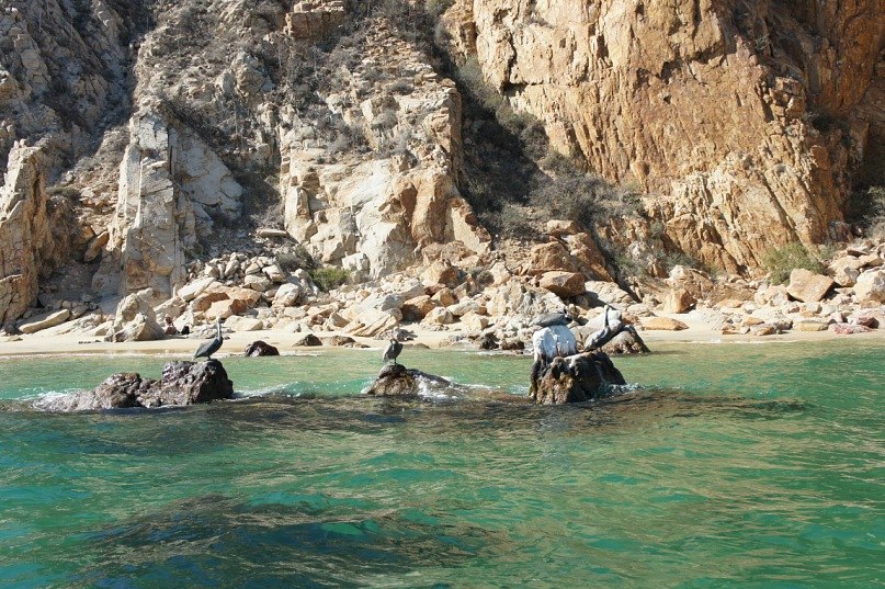 Антон Ермолаев | Харьков