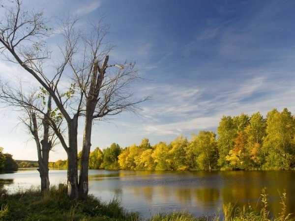 №13, Наталья Гажа, Харьков №13, Наталья Гажа, Харьков