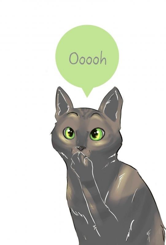 Ольга Пестик ιllιllιBlack Black Heartιlιlιl | Винница