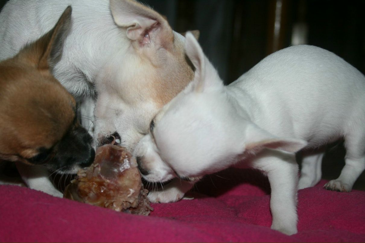 Надежда Алексеева | Санкт-Петербург