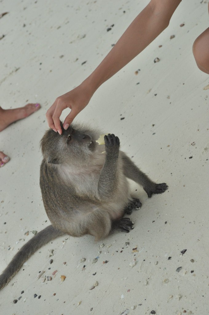 Людмила Сграбилова | Барнаул