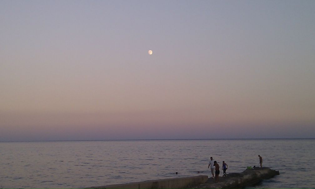 №49, Дарья Волкова, Москва №49, Дарья Волкова, Москва