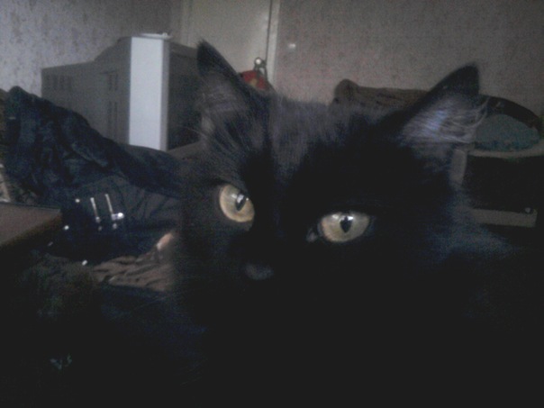 №2, Ирина Александровна №2, Ирина Александровна