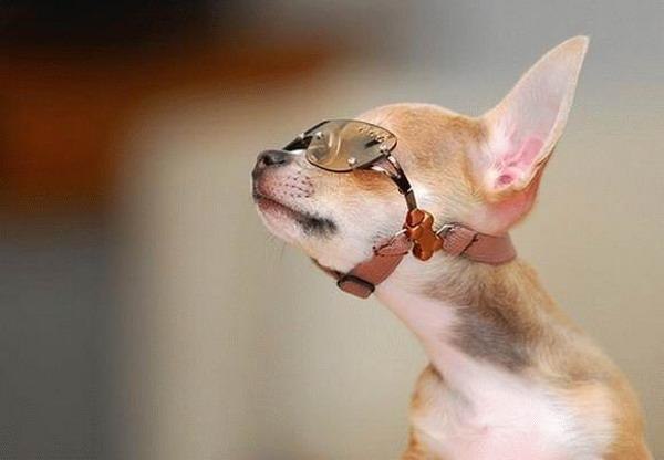 Лариса Черкасова | Вологда