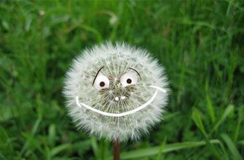 Мария Чернышева | 