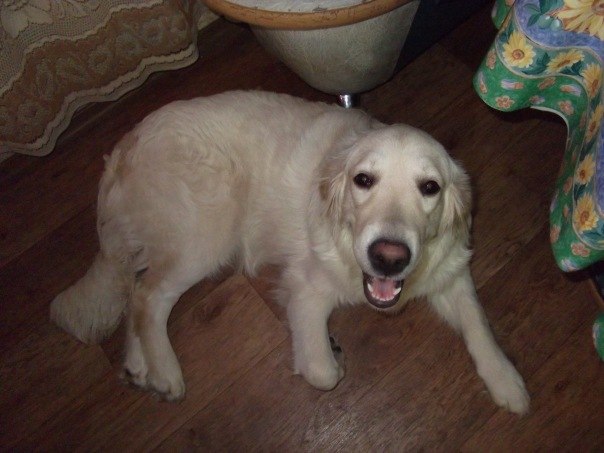 Бакаянова Мария | Санкт-Петербург