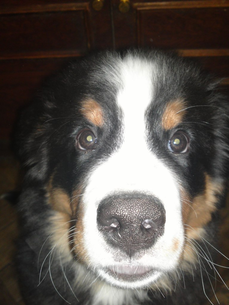 Борис Андреевич | Санкт-Петербург