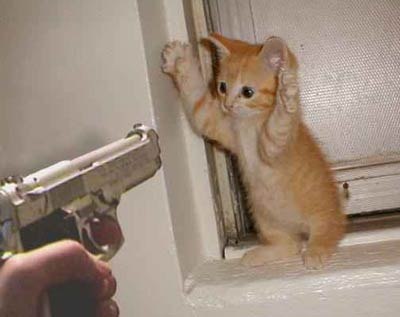 №115, Артем Князькин, 26 лет, Саратов №115, Артем Князькин, 26 лет, Саратов