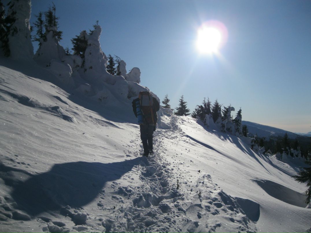 Александр Редько | Киев