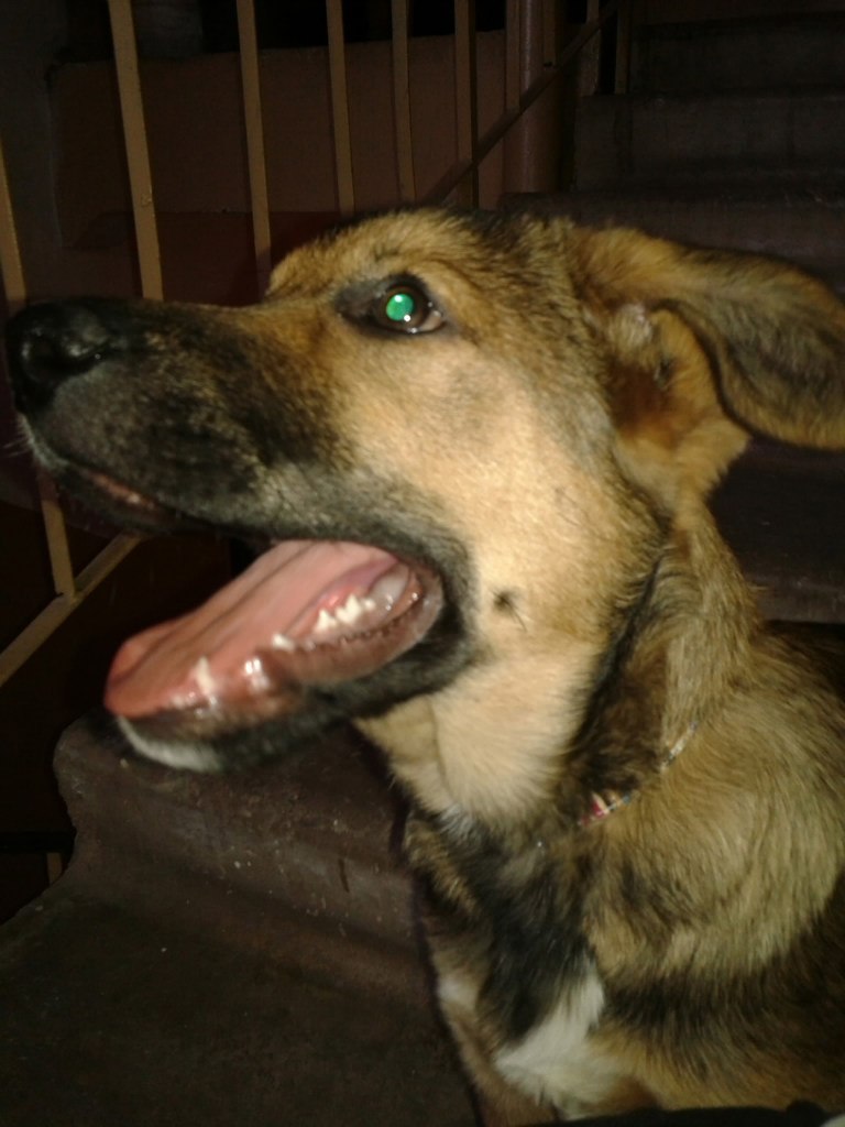 Екатерина Ширшова √Кисуля√ | Домодедово