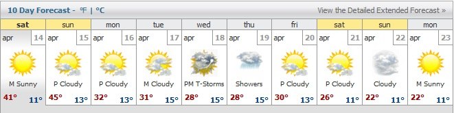 Иван Шимкевич Yogi Bear | Самара