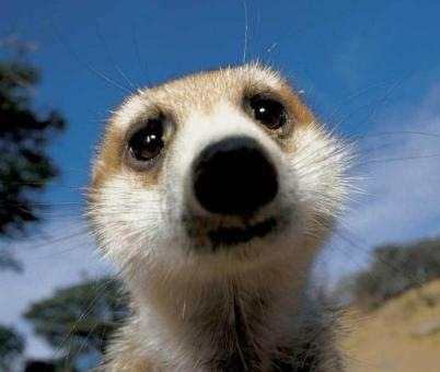 №10, Дмитрий Пришин, Керчь №10, Дмитрий Пришин, Керчь