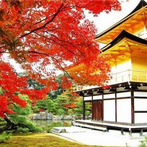 №85, Полина Бодрова, Одесса №85, Полина Бодрова, Одесса