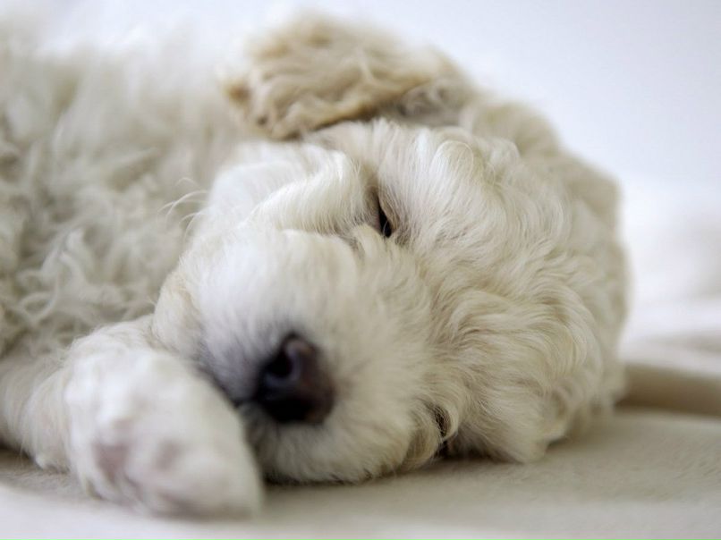 Диляра Сафина | Нижнекамск