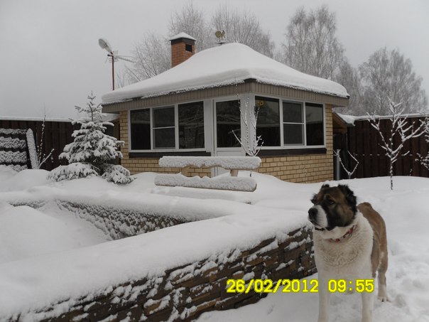 №11, Людмила Приходько №11, Людмила Приходько