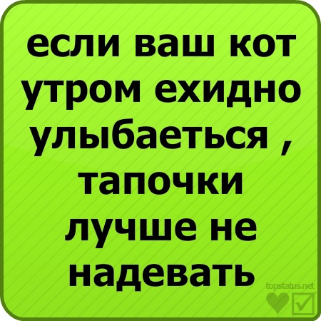 №60, Виталий Кудашов, 28 лет, Умет №60, Виталий Кудашов, 28 лет, Умет