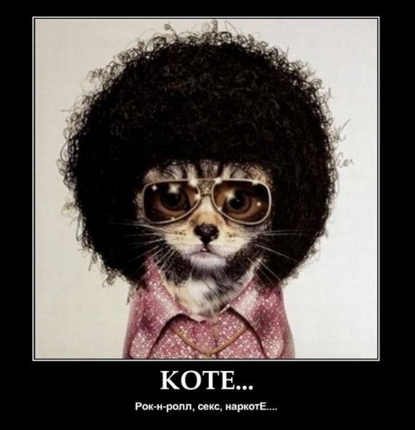 Илья Смирнов | 