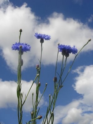 Ксения Митина | Пермь