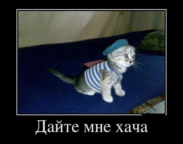 №13, Андрей Коваленко, 45 лет, Киев №13, Андрей Коваленко, 45 лет, Киев