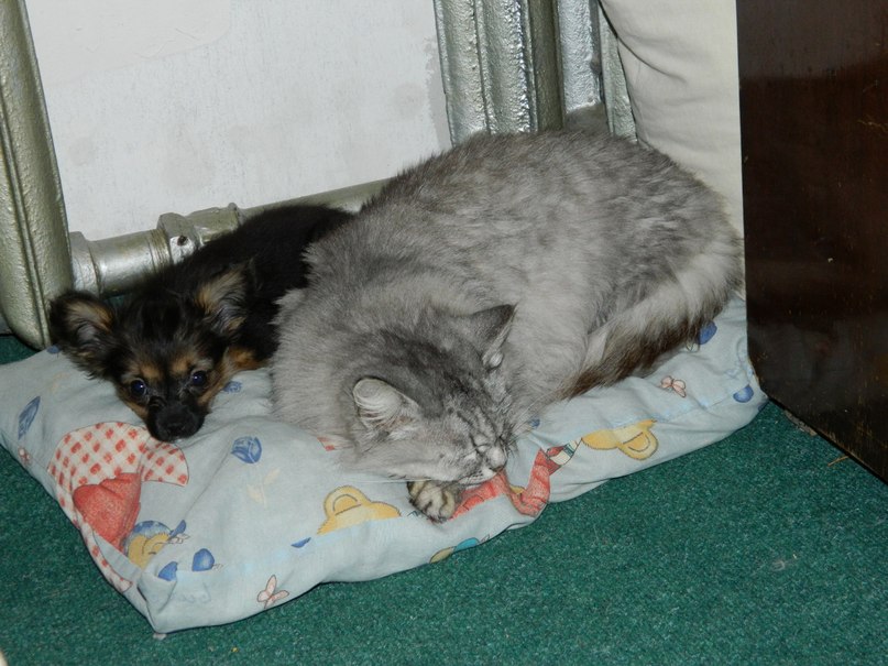 Оксана Бельская | Ульяновск