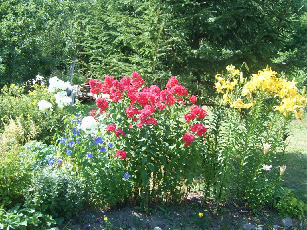 Жанна Шокун | Санкт-Петербург