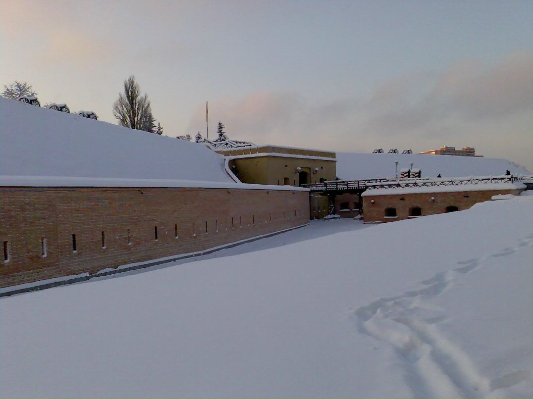 Николай Козел | Киев