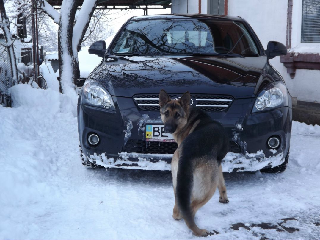 Сергей Ташкинов | Первомайск
