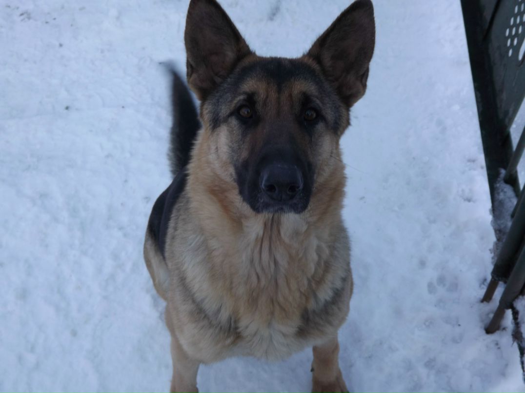 Сергей Ташкинов | Первомайск