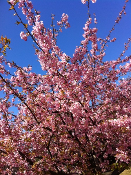 №2, Ukou Eno, Tokyo №2, Ukou Eno, Tokyo