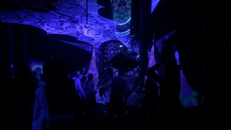 Full power privat. Forest session Hofmann