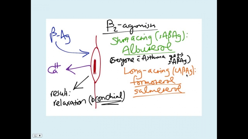 Asthma CRASH Medical Review