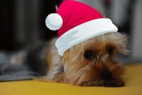 №13, Оленка Колупаєва, 39 лет, Львов №13, Оленка Колупаєва, 39 лет, Львов