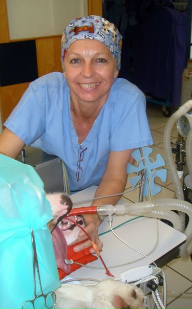 №65, Olga Mitterer, 65 лет, Санкт-Петербург №65, Olga Mitterer, 65 лет, Санкт-Петербург
