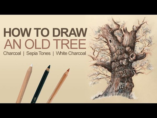 How to Draw an Old