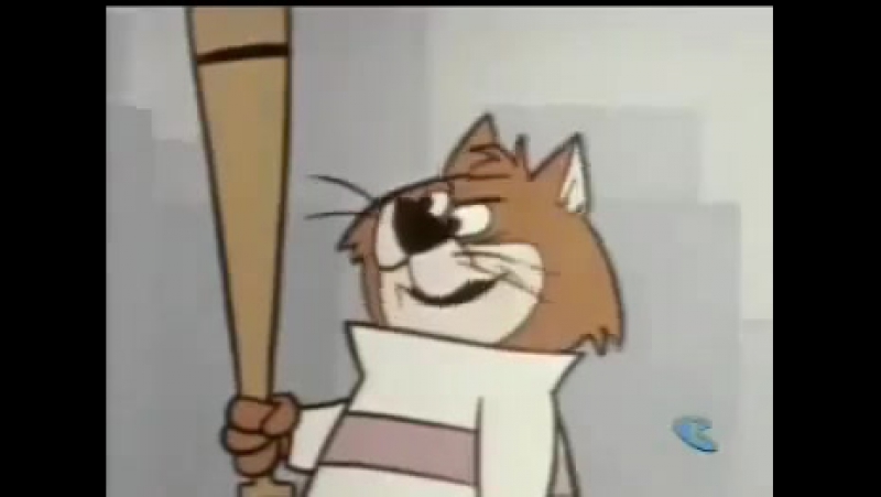 Touche Turtle And Dum Dum 21 Catch As Cat