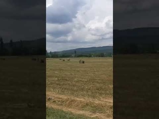 Жаркая Адыгея с Простором