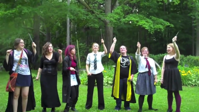 Raise Your Wand ( Harry Potter Freaks) Harry Potter