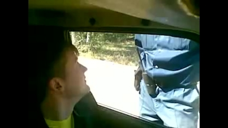 тип палит