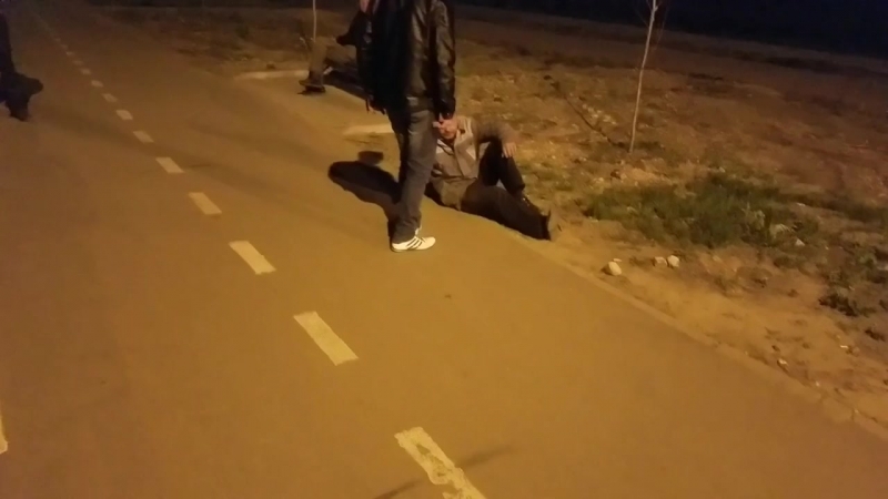 бесплатный цирк в Иванове
